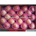 factory directly supply high quality fresh red fuji apple